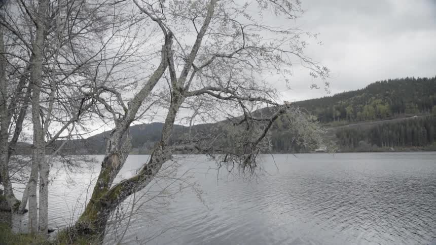 Water ripples on a mountain lake