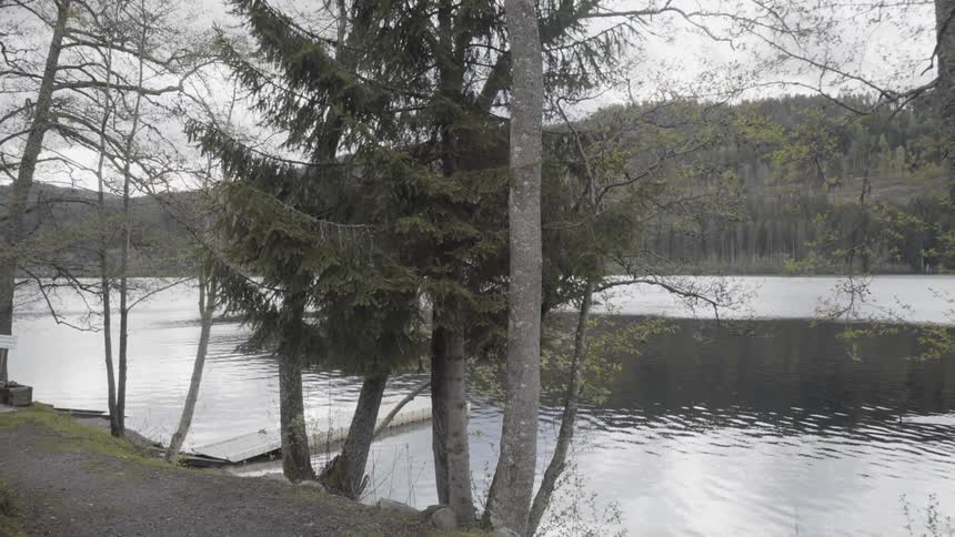 The water is calm in the lake ahead