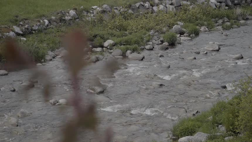 A river flows over rocks