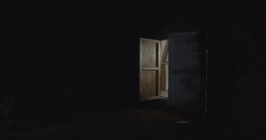 Woman stands in a shed