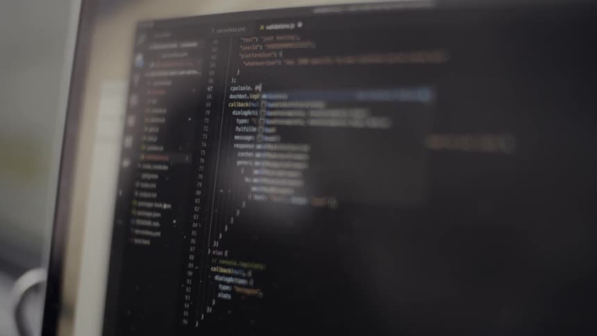 Coding lines are displayed on a computer monitor