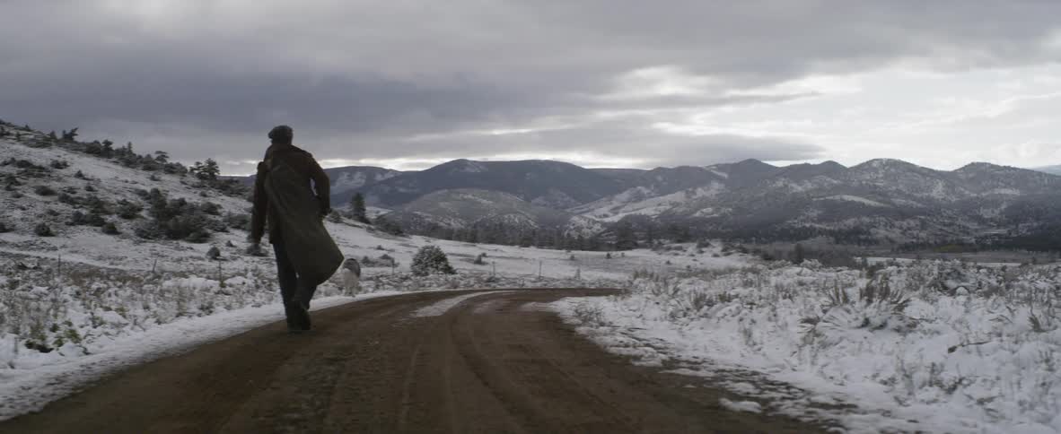 A person walks with his dog down the trail