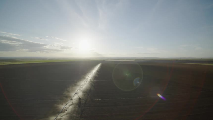 Pullback ascent of a farm irrigation system watering new seedlings on a sunny day