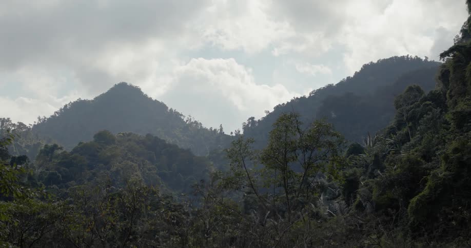 Clouds are hovering over a jungle-covered mountain during the day