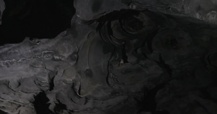 The bats are flying around in the dark cave