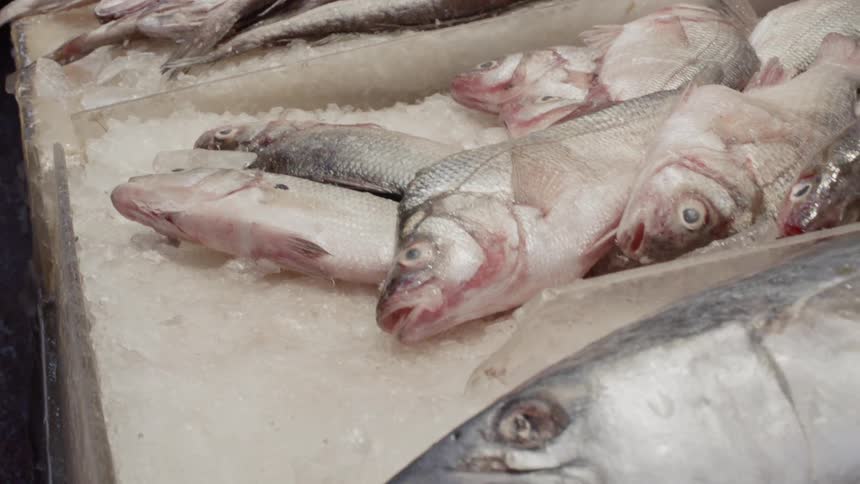 Fish is displayed on ice at a market
