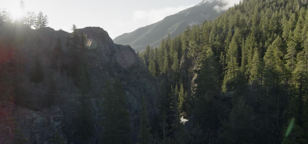 Sunlight is beaming down on pine trees and river in a mountain landscape