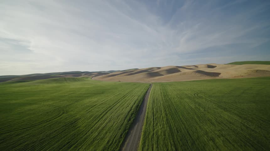 Flying along an empty gravel road between lush green crops