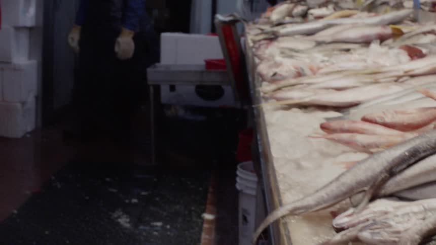 Fish are kept cool on ice