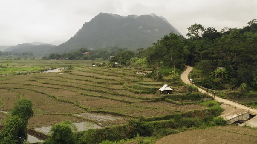 Bicyclists are riding through a farming community in an asian country during the day
