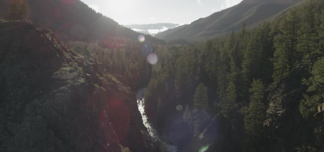 The stream runs through the tall trees by the mountain