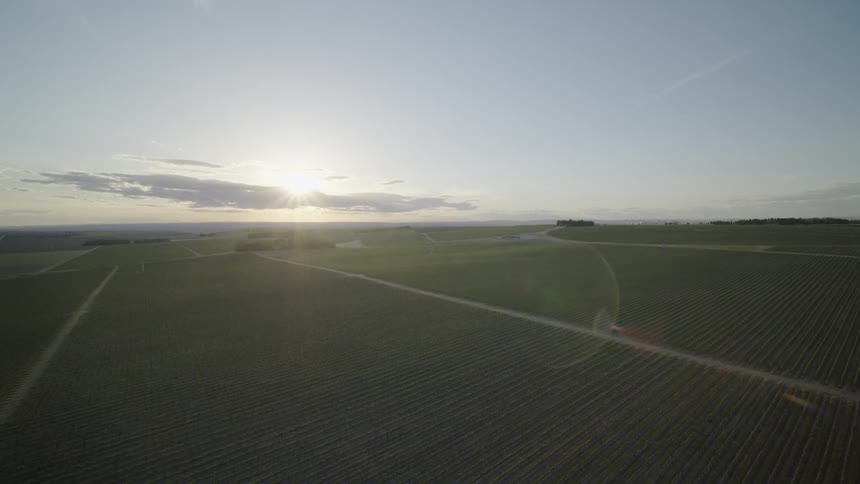 Flying over endless rows of crops as the sun sets behind some clouds
