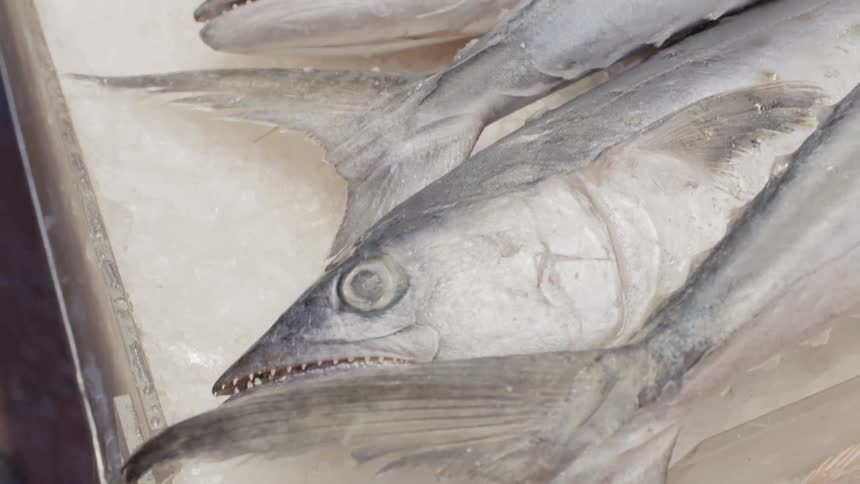 Fish are being displayed on beds of ice in a market in daylight