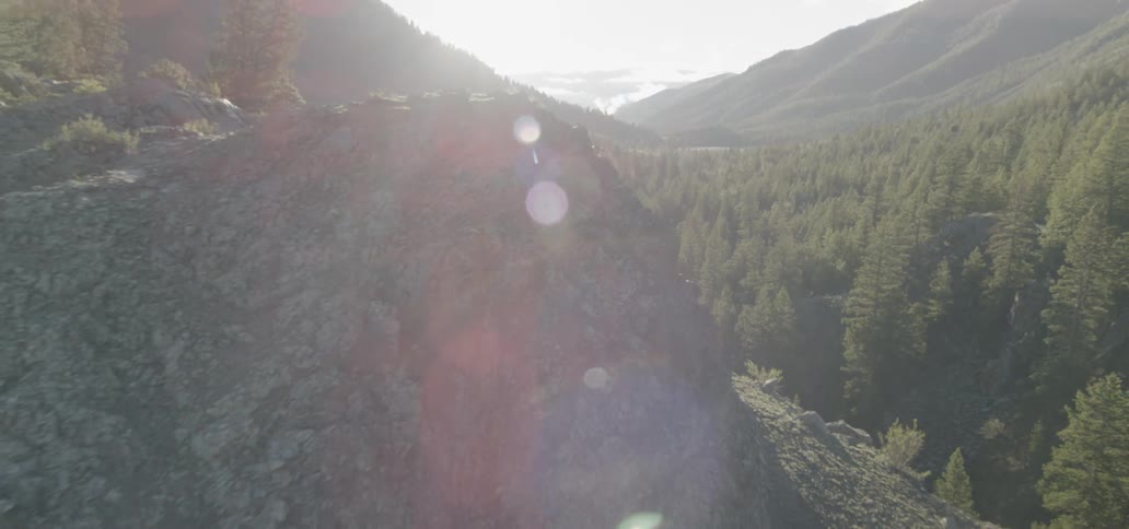 View of mountains and trees