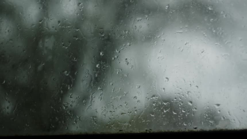 Tree branches seen through a rain covered window