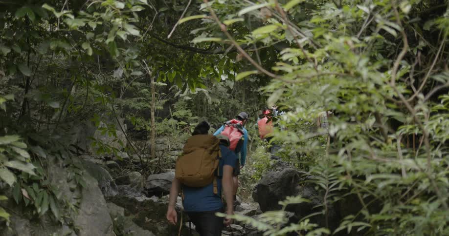 People hike together in the forest