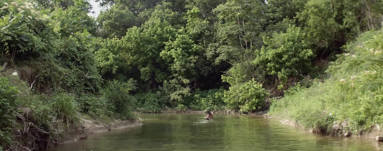 Man and dog play in river