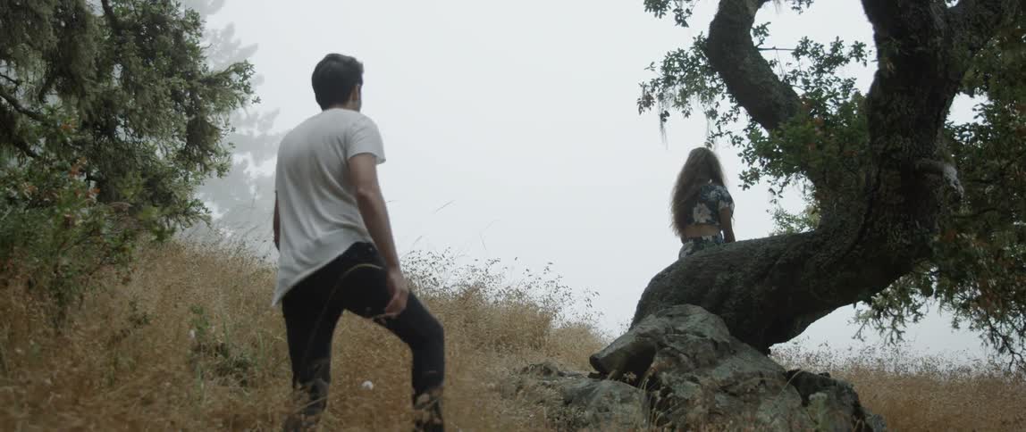 A woman sits on the tree as a man walks up the hill