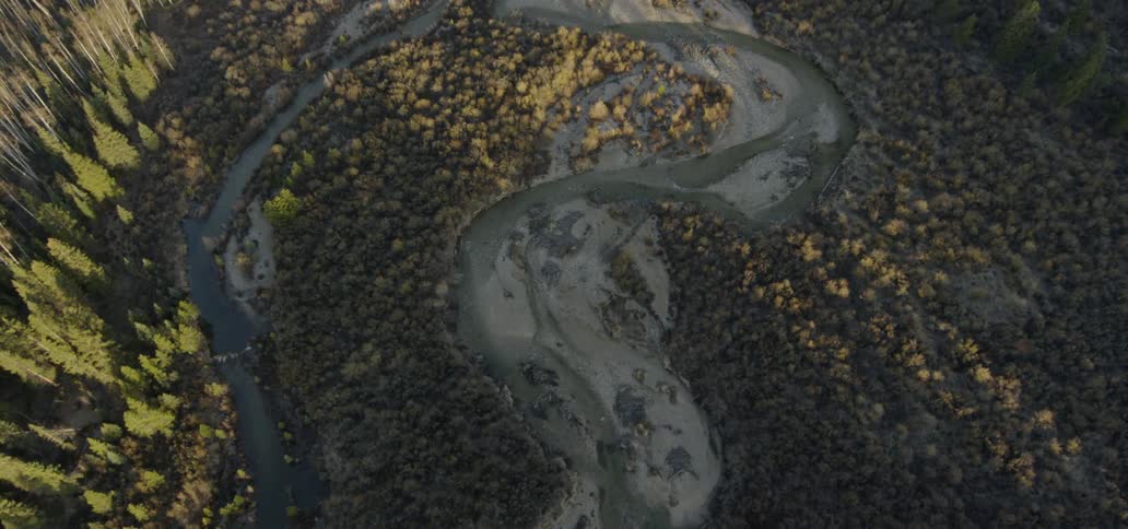 A river flows through a forest