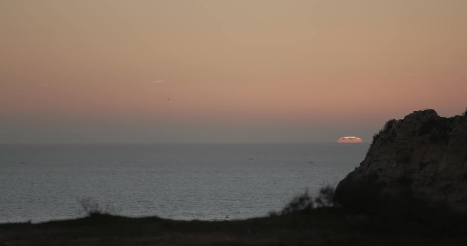 Birds fly over a coast at sunset