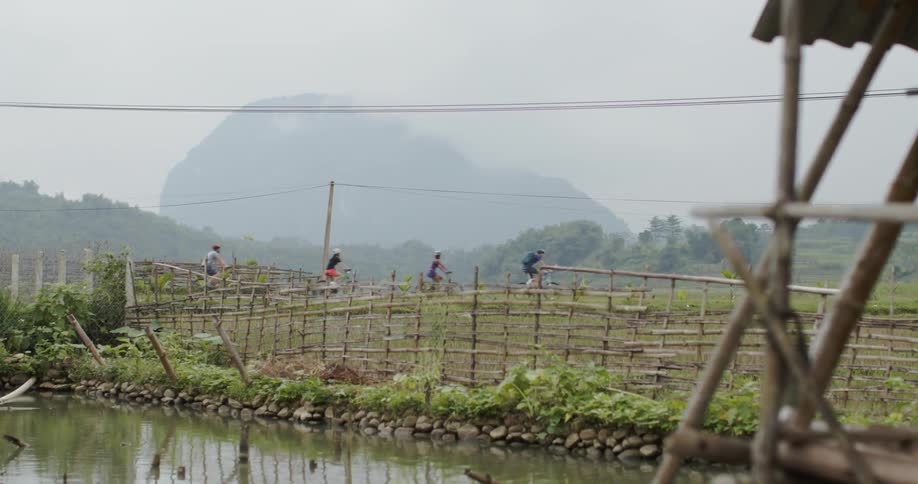 Four people ride bikes through a farm countryside