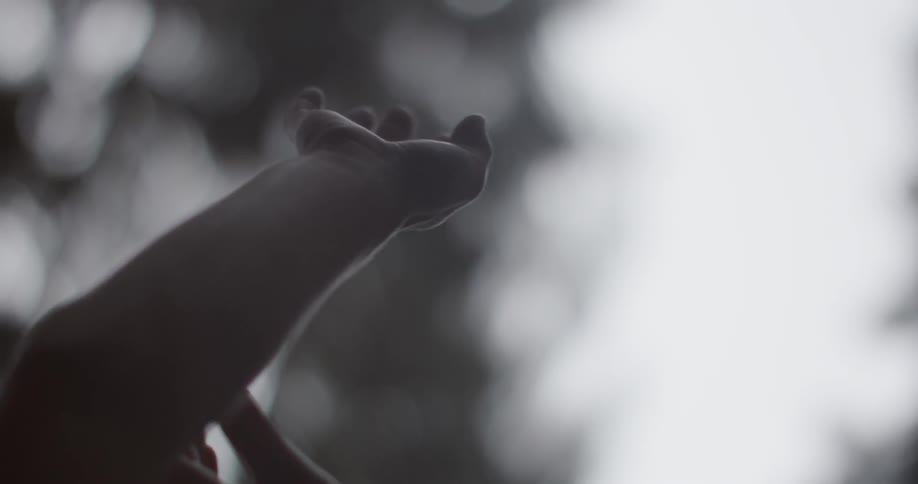 A woman's hands reach towards the sky