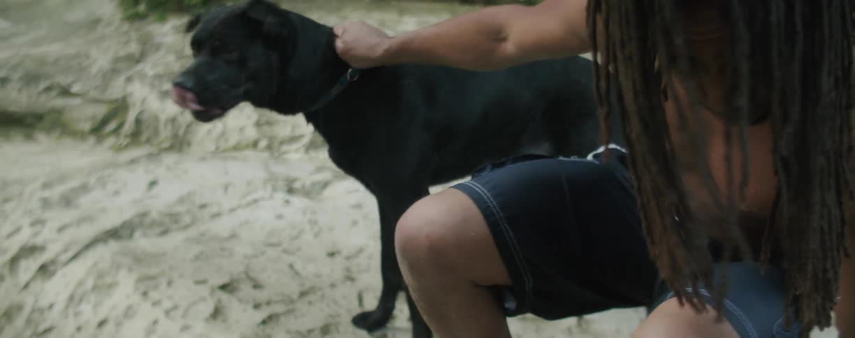 Man pets a dog while holding its collar