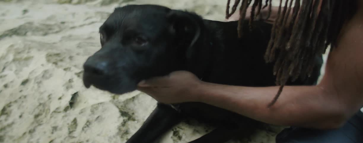 A man pets his dog on the sand
