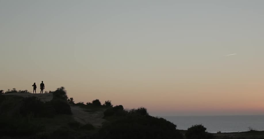 A couple stands on a hill overlooking the ocean at sunset