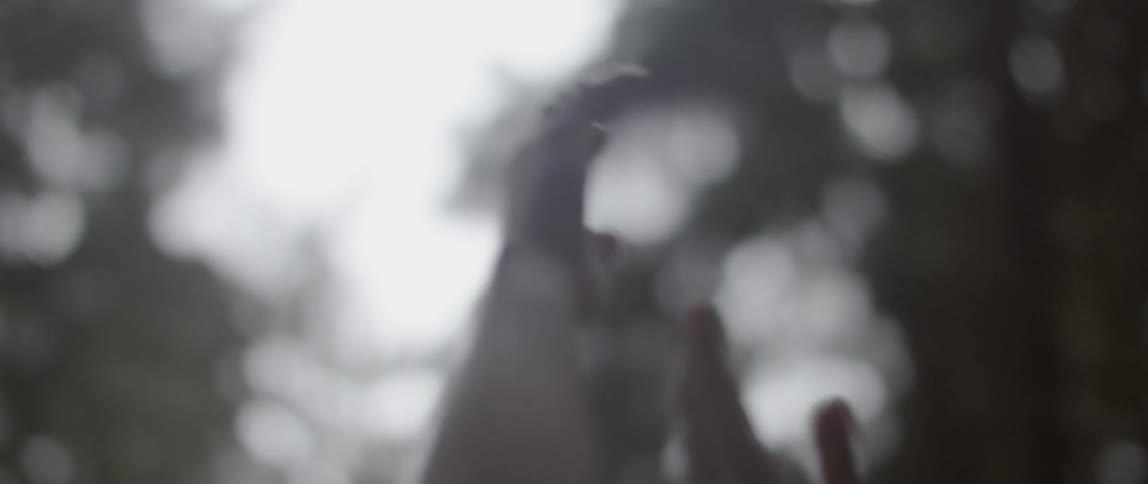 A woman's hands reach towards the sky