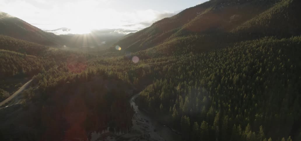A large forest sits at the foot of the mountains