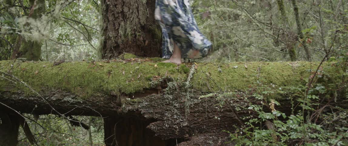A woman is walking across a moss-covered log in a forest in daylight