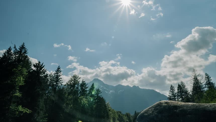 The clouds pass above the tall trees and mountain - 4K Time Lapse