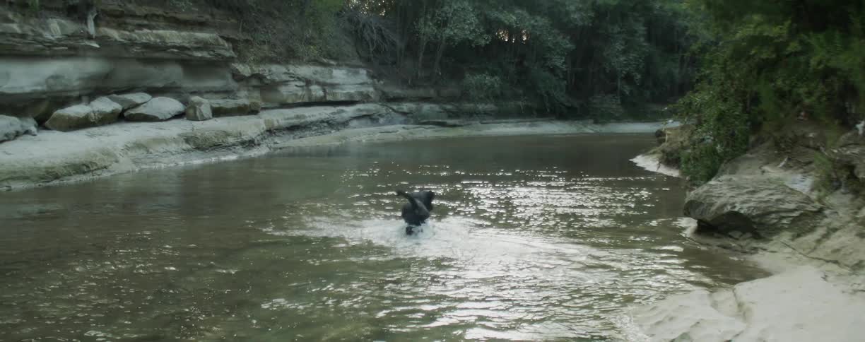 The dog is wading through the shallow water