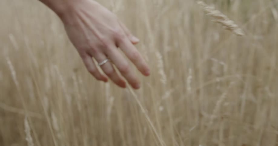 A person is walking and touching the grass