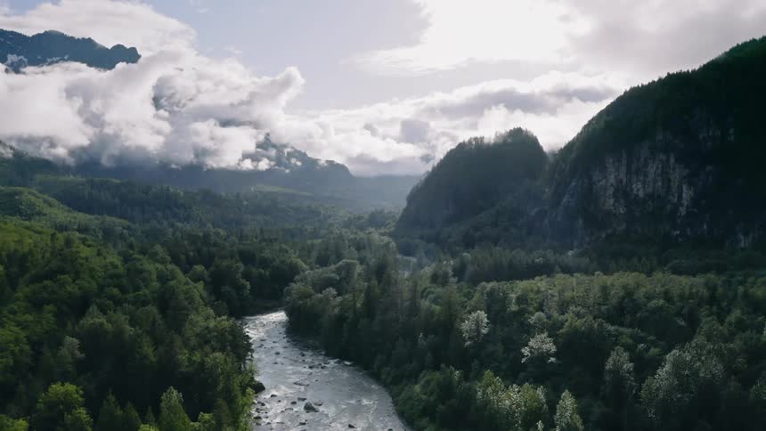 The river runs around the forest by the mountain