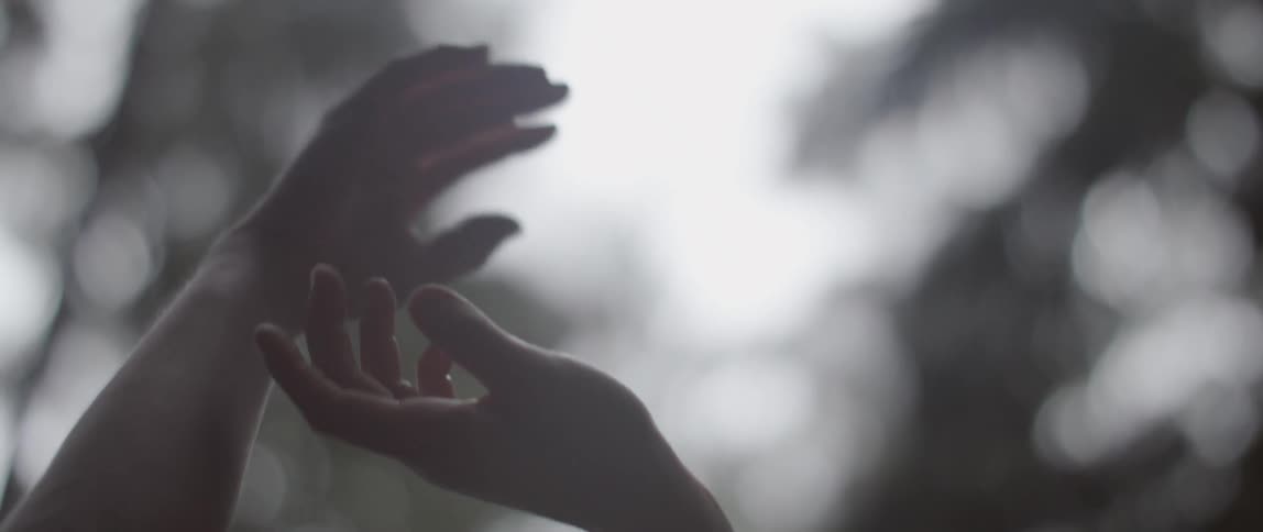 A person's hands raised up toward the sky and trees