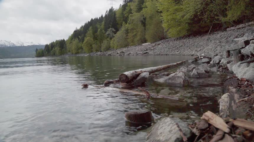 A piece of driftwood is swaying with the tide as it floats in a lake in daylight