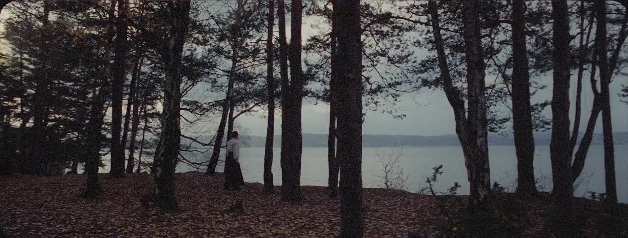 Woman in dress is walking through trees towards lake