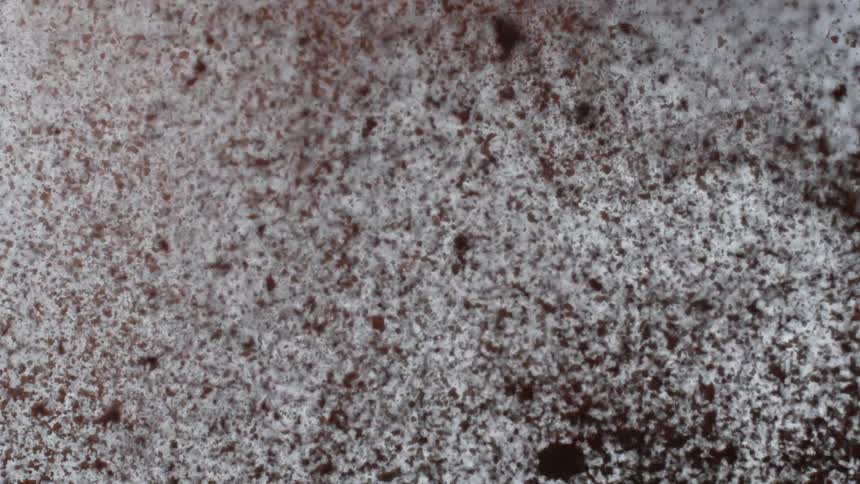 Coffee grounds are shooting into the air
