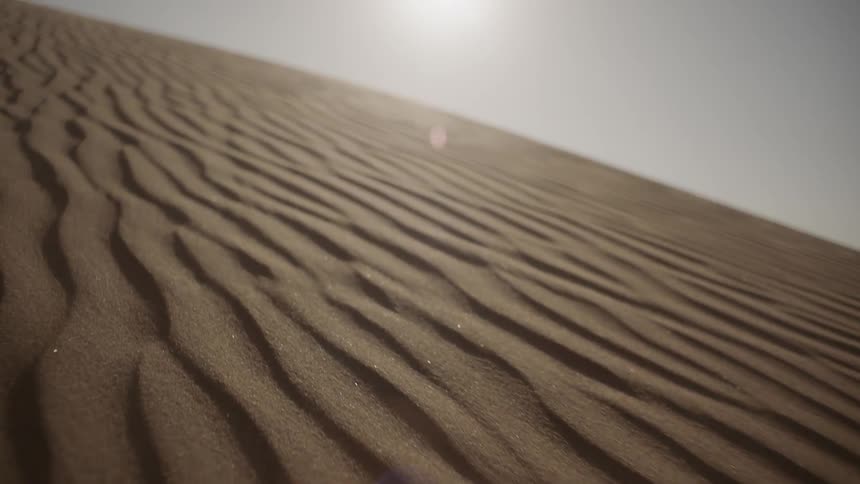 The sand is ridged as it goes up the dune