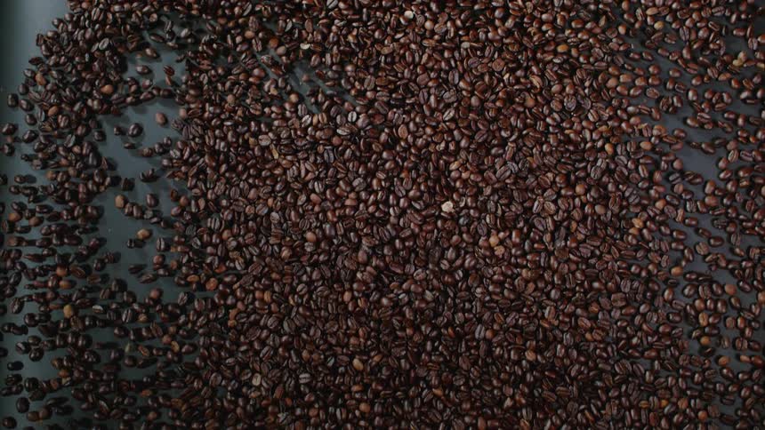 Large pile of coffee beans ride down a conveyor belt
