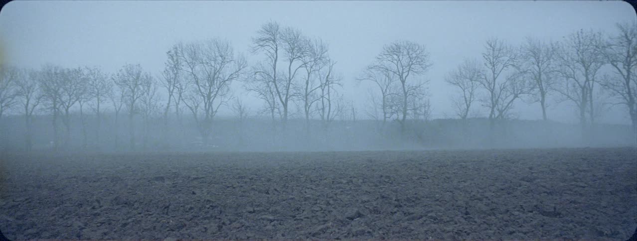 A vehicle is driving past a farm field on a foggy morning
