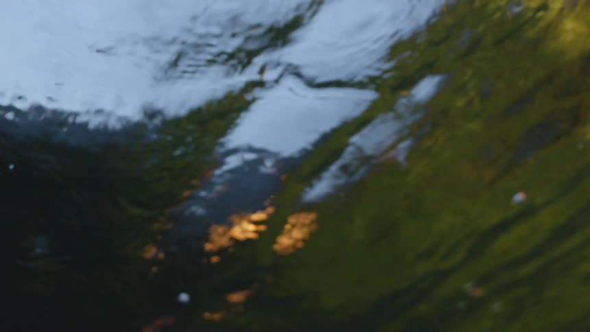 Water ripples and flows and light reflects off of it