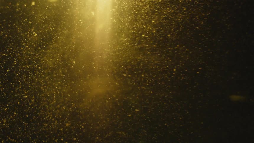 The sun's rays shine through the floating dust