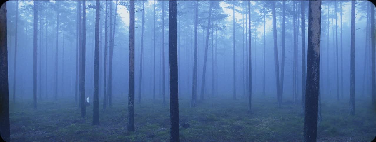 A woman walks through a foggy forest