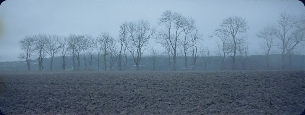 Old car traveling down a foggy country road