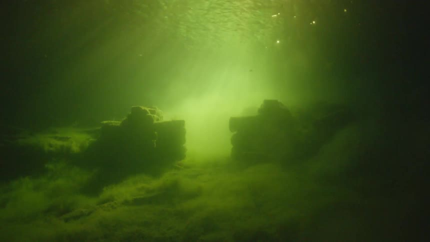 Murky water sparkles and shines from the sunlight