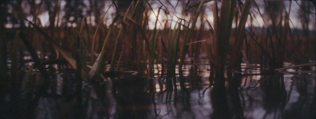 The water rises up almost covering the grass