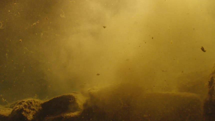 Debris swirls around underwater